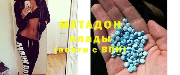 стаф Алзамай