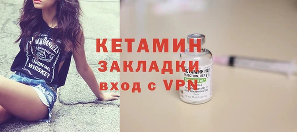 стаф Алзамай