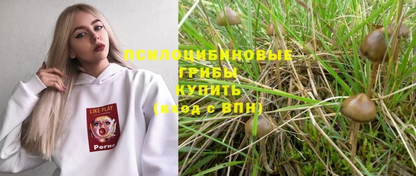 мяу мяу мука Абинск