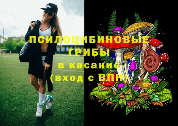 стаф Алзамай