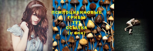дурь Алексин