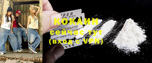 стаф Алзамай