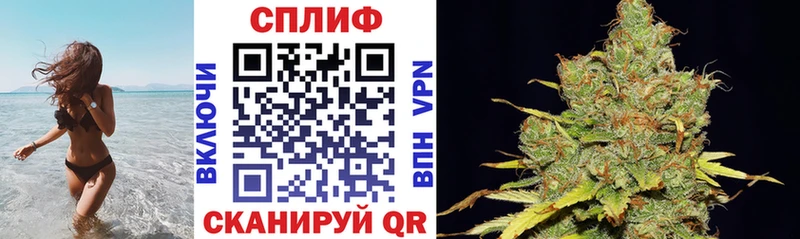 Каннабис White Widow Карачев